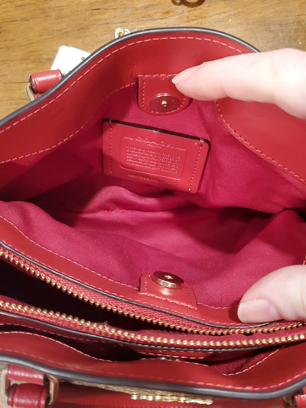 NEW Coach Mini Sage Signature Carryall